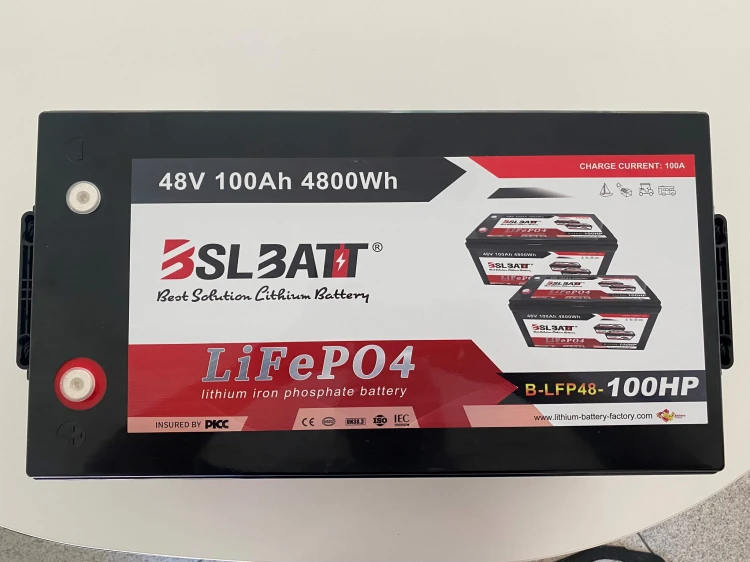 BLS012.jpg