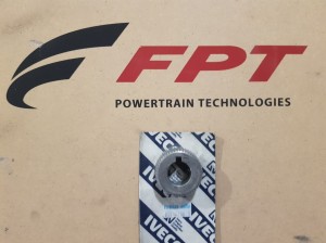 4816286 Koło zębate napędu pompy wtryskowej FPT / Iveco Motors