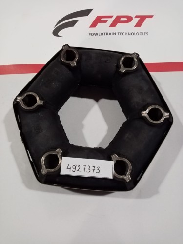4927373.jpg