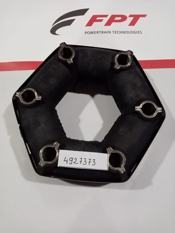4927373.jpg