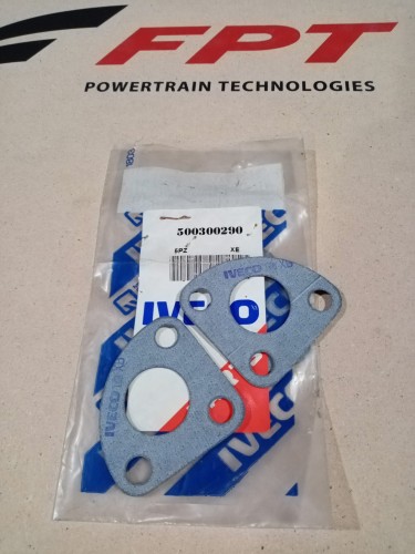 500300290.jpg