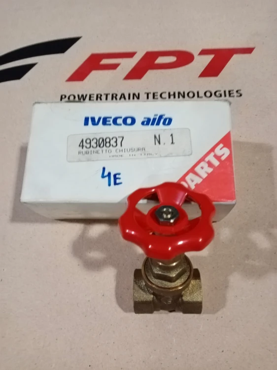 4930837.jpg