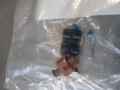 8045170.jpg