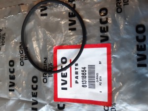 61318654 O-ring  FPT / IVECO MOTORS 