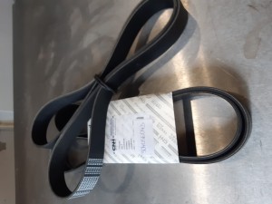 504056043 Pasek wielorowkowy FPT / IVECO MOTORS
